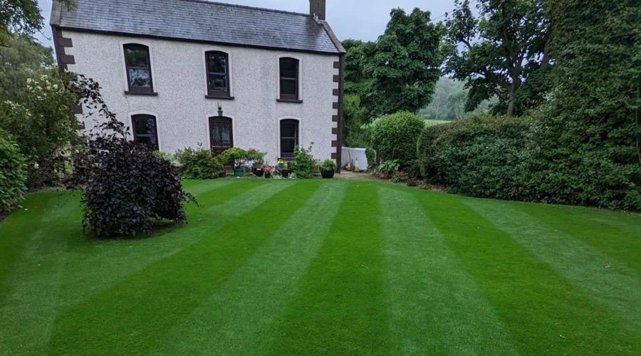 Is It Expensive to Have My Garden Maintained Regularly?